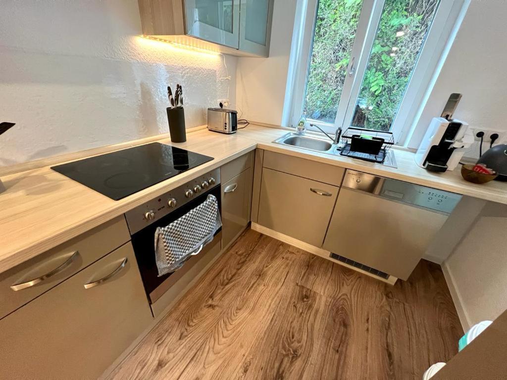 Exklusive Neubauwohnung Mit Wundervoller Aussicht Naehe Europapark Und Rulantica Burgheim Exterior foto